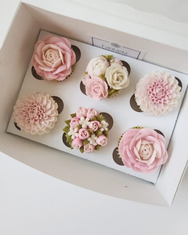 Box of 6