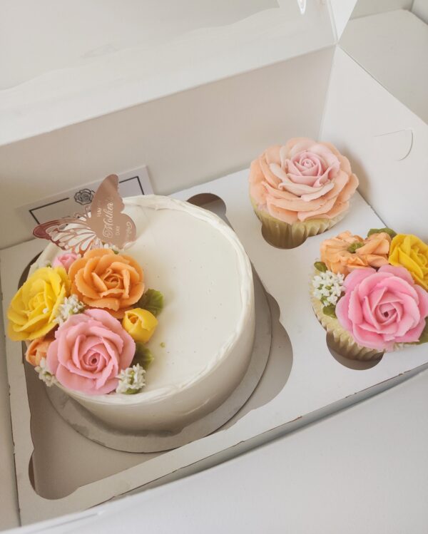 Mini cake + cupcakes