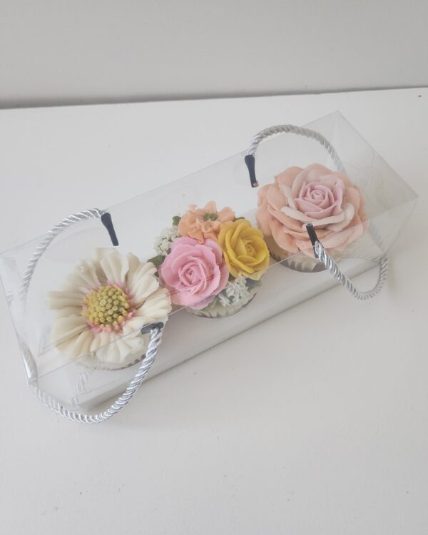 Deluxe box of 3