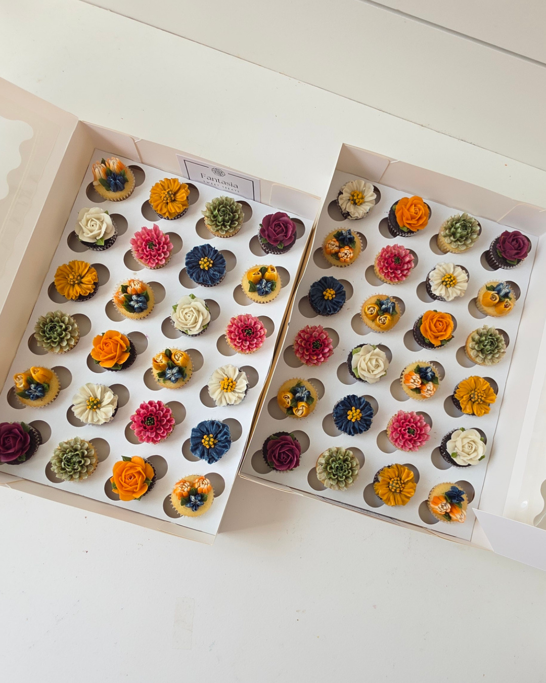 Zinnia - Image 4